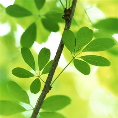 仙剑纵横手游官方版下载