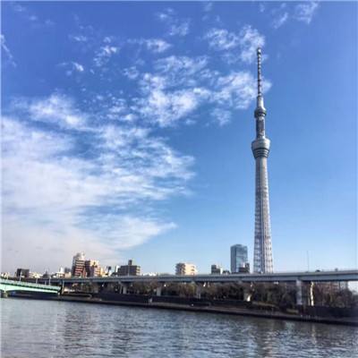 龙域领主之审判之光游戏下载